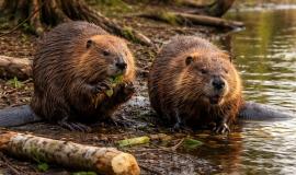 2026-04-08 9.35.00 AM.jpg