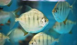 2026-04-08 10.25.54 AM.jpg