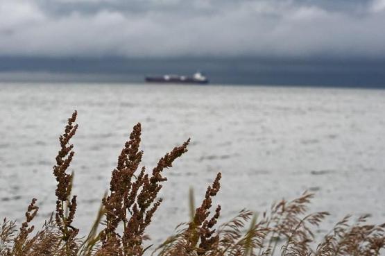 thumb_562519_news_xxxl (3).jpeg