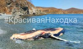 2026-04-14 12.51.41 PM.jpg