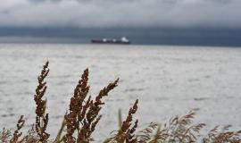 thumb_562519_news_xxxl (4).jpeg