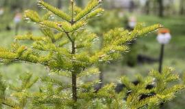 2026-04-15 10.35.05 AM.jpg