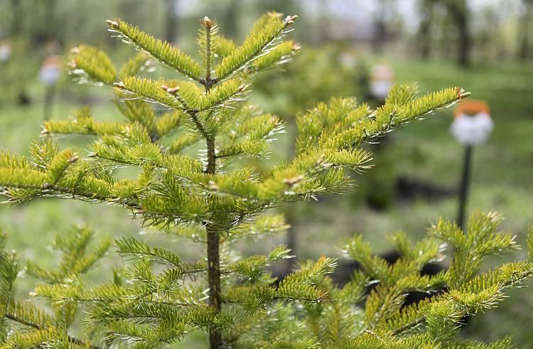 2026-04-15 10.35.05 AM.jpg