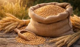 2026-04-16 10.27.50 AM.jpg