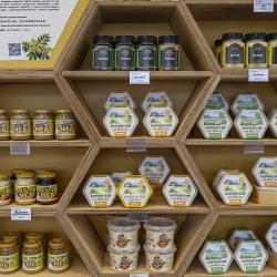 Для гостей комплекса работают интерактивные зоны и экспозиции с историческими предметами #6