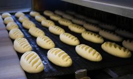 2026-04-16 12.21.09 PM.jpg