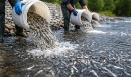 2026-04-17 9.54.53 AM.jpg