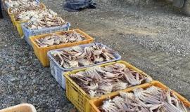 2026-04-17 9.56.35 AM.jpg