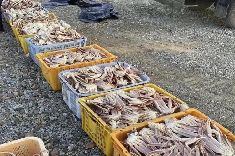 2026-04-17 9.56.35 AM.jpg