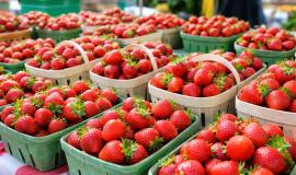 2026-04-20 1.20.19 PM.jpg