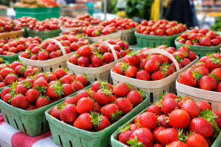 2026-04-20 1.20.19 PM.jpg