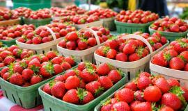 2026-04-22 9.48.00 AM.jpg