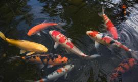 2026-04-23 10.25.01 AM.jpg