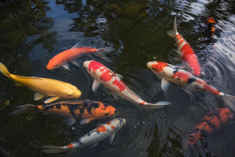 2026-04-23 10.25.01 AM.jpg