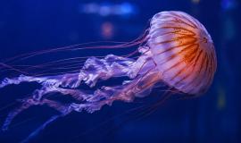 2026-04-23 11.17.25 AM.jpg