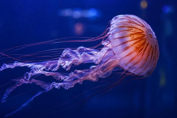 2026-04-23 11.17.25 AM.jpg