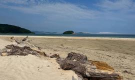 2026-04-23 12.16.32 PM.jpg