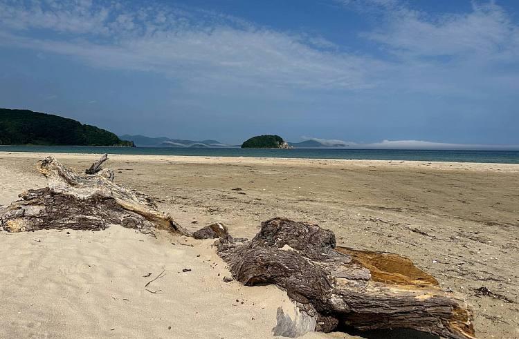 2026-04-23 12.16.32 PM.jpg