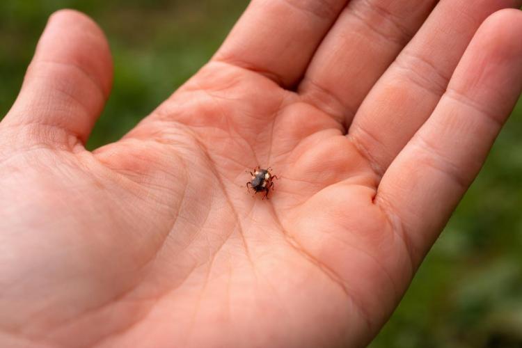 thumb_563521_news_xxxl (1).jpeg