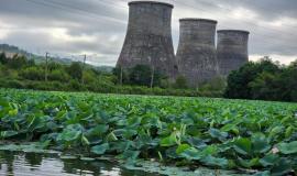 thumb_564220_news_xxxl (1).jpeg