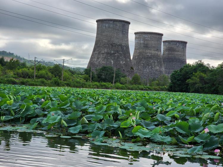 thumb_564220_news_xxxl (1).jpeg