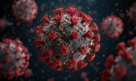 2026-04-24 12.45.39 PM.jpg