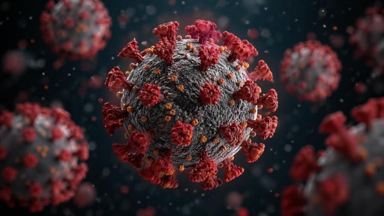 2026-04-24 12.45.39 PM.jpg