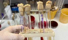 2026-04-25 8.54.39 AM.jpg