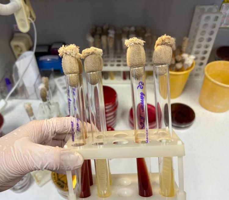 2026-04-25 8.54.39 AM.jpg