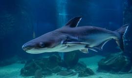 2026-04-25 9.10.33 AM.jpg