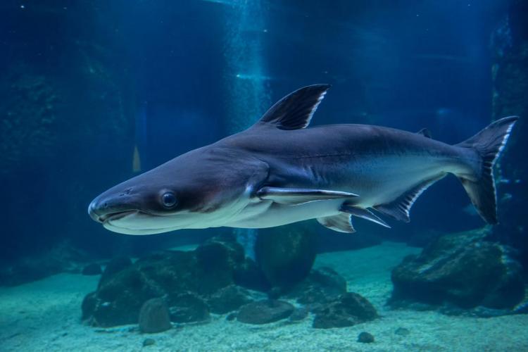 2026-04-25 9.10.33 AM.jpg