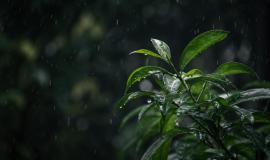 2026-04-25 11.52.18 AM.jpg