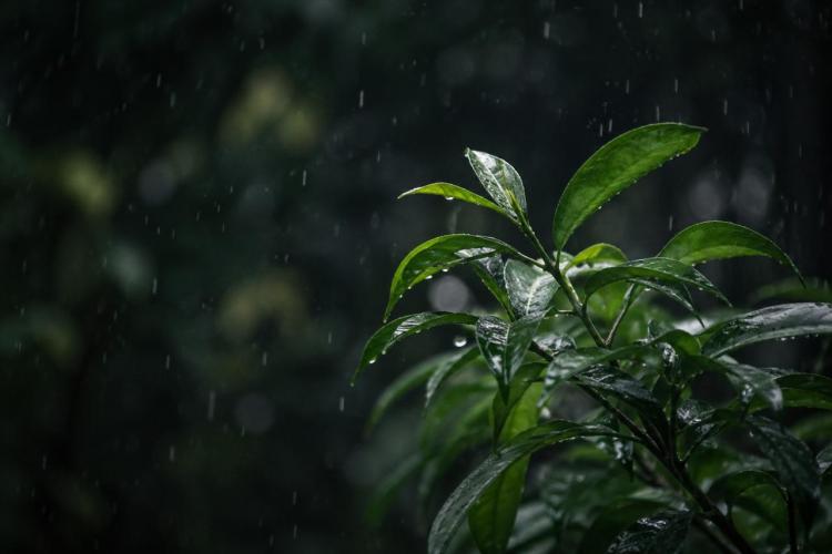 2026-04-25 11.52.18 AM.jpg