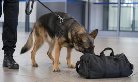 2026-04-27 9.32.49 AM.jpg