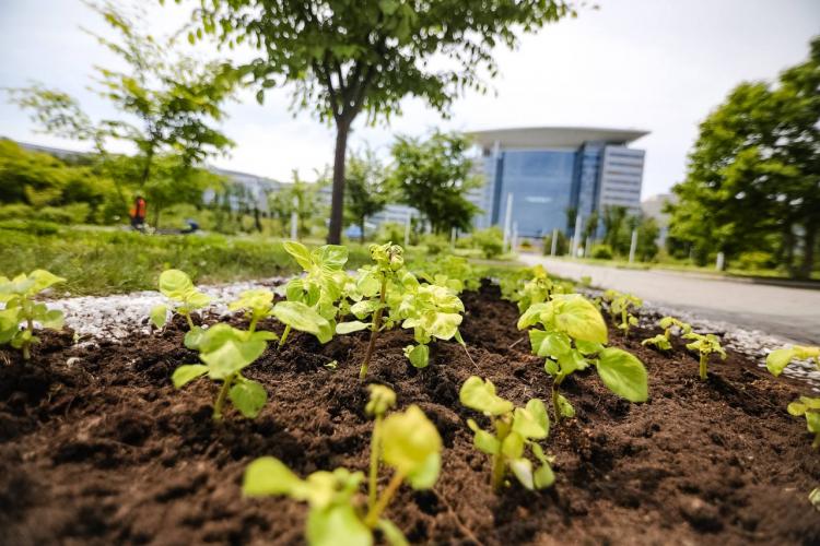 2026-04-27 10.12.22 AM.jpg