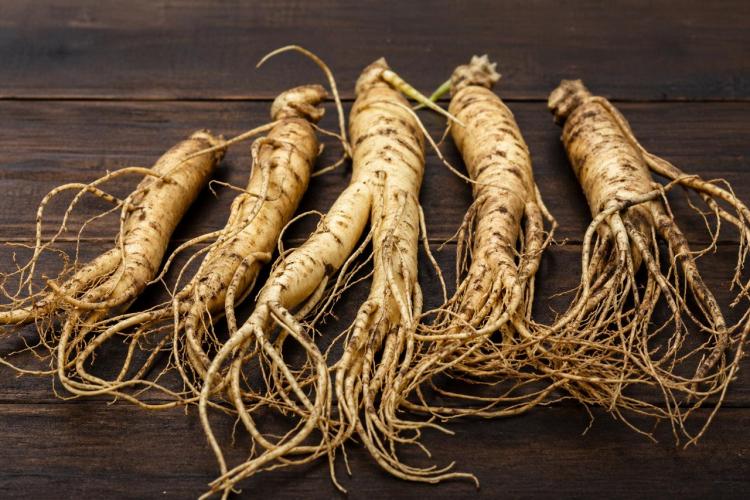 2026-04-27 12.06.51 PM.jpg