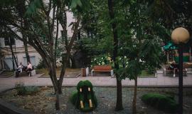 54616541.jpg