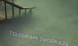 IMG_1310.jpeg