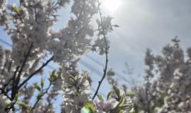 IMG_1034.jpeg