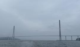 IMG_0982.jpeg