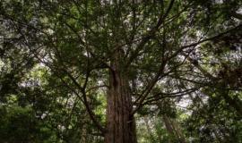 IMG_1669.jpeg