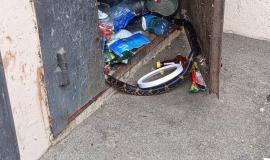 IMG_1678.jpeg