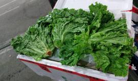 salat2-768x432.jpg