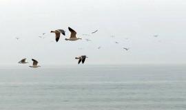 IMG_1997.jpeg