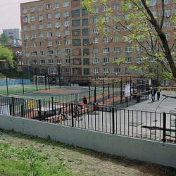 В прошлом году в разных районах Владивостока появилось десять новых универсальных площадок для активного отдыха и занятий спортом #7