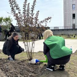Застройщик сдал первый дом и вместе с жильцами высадил будущую аллею #18
