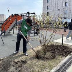 Застройщик сдал первый дом и вместе с жильцами высадил будущую аллею #20