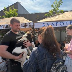 Выставка-раздача объединила волонтеров, будущих хозяев и тех, кто помогает бездомным питомцам #7
