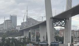 IMG_1037.jpeg