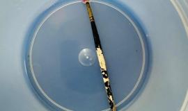 IMG_3339.jpeg